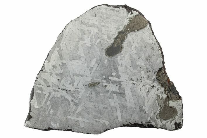 Etched Toluca Iron Meteorite ( g) Slice - Mexico #346512